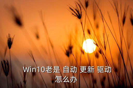  Win10老是 自動 更新 驅(qū)動怎么辦