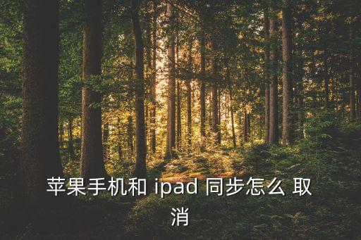 ipad 取消自動同步,怎么取消和iphone同步?