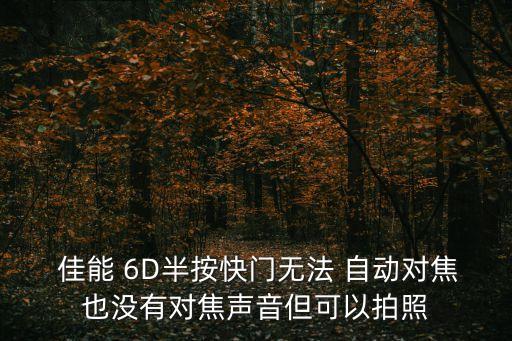  佳能 6D半按快門無法 自動(dòng)對(duì)焦也沒有對(duì)焦聲音但可以拍照