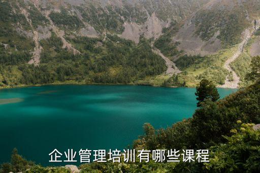 企業(yè)管理培訓(xùn)有哪些課程
