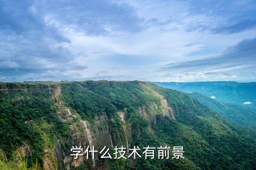 學(xué)什么技術(shù)有前景