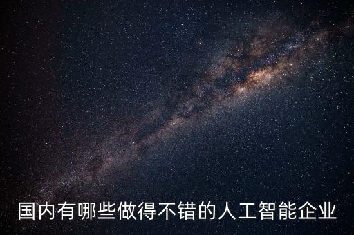 國內有哪些做得不錯的人工智能企業(yè)