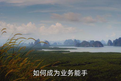 如何成為業(yè)務(wù)能手