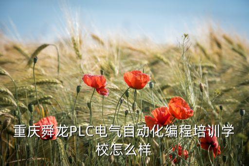 重慶舜龍PLC電氣自動(dòng)化編程培訓(xùn)學(xué)校怎么樣