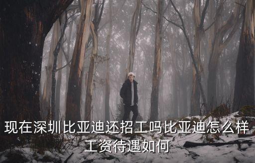 現(xiàn)在深圳比亞迪還招工嗎比亞迪怎么樣工資待遇如何