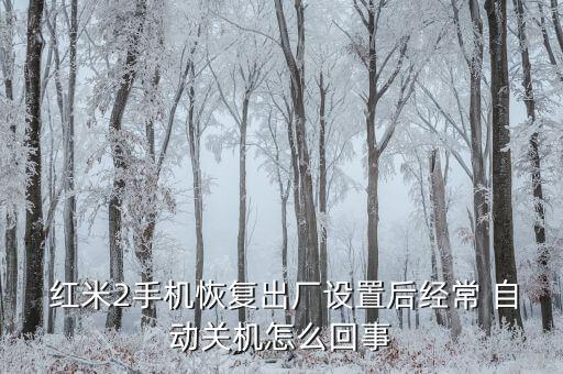 紅米2a刷機(jī)時(shí)自動(dòng)退出,如何恢復(fù)手機(jī)設(shè)置?三步驟!