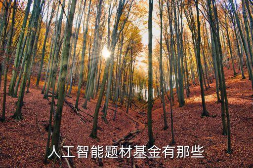 人工智能題材基金有那些