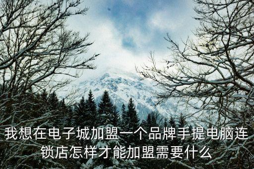 新型電子產(chǎn)品代理加盟，工控PLC單片機(jī)產(chǎn)品電子產(chǎn)品代理加盟