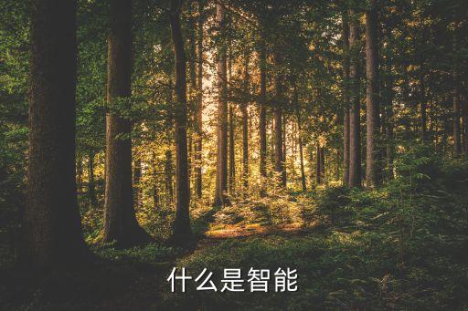智能科技的定義，智能科技是指