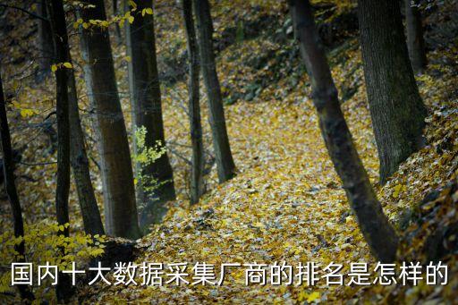 國內(nèi)十大數(shù)據(jù)采集廠商的排名是怎樣的