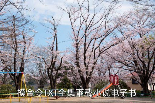 帶著黑科技回現(xiàn)實(shí)TXT下載，那小子真帥 TXT下載 最新完結(jié)手機(jī)電子書(shū)下載