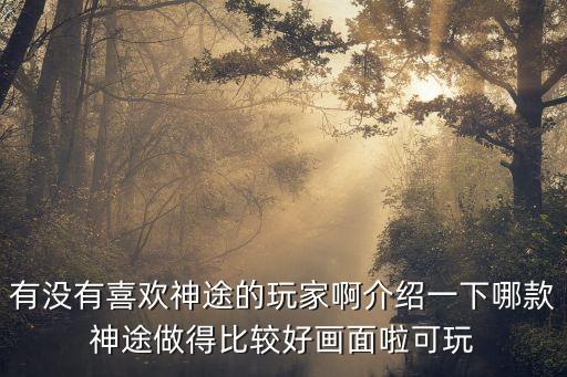 有沒有喜歡神途的玩家啊介紹一下哪款神途做得比較好畫面啦可玩