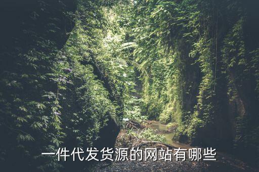 一件代發(fā)貨源的網(wǎng)站有哪些