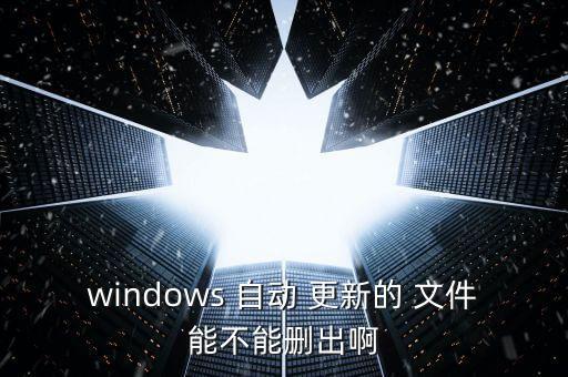 windows 自動 更新的 文件能不能刪出啊