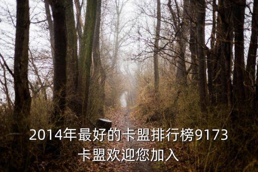 2014年最好的卡盟排行榜9173卡盟歡迎您加入