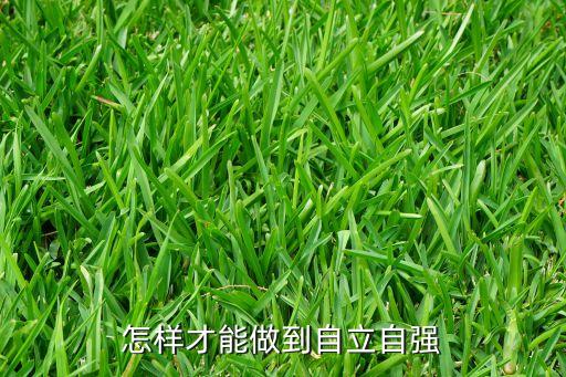 怎樣才能做到自立自強(qiáng)