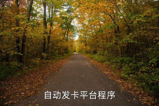 51自動發(fā)卡網(wǎng)平臺，51挑卡網(wǎng)怎么樣
