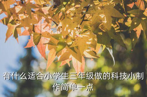 三年級(jí)簡(jiǎn)單最火的手工，小學(xué)生最簡(jiǎn)單的小制作我三年級(jí)