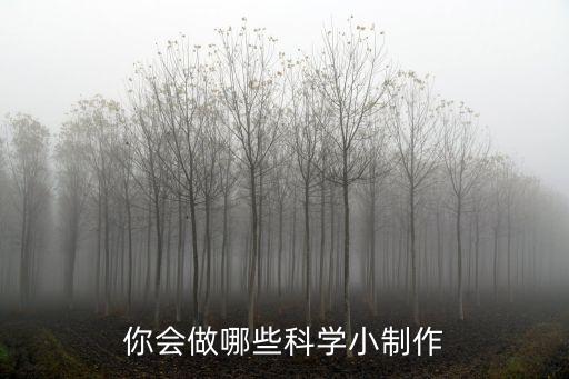 你會(huì)做哪些科學(xué)小制作