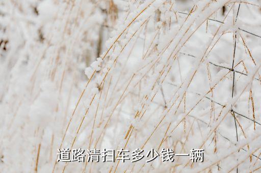 道路清掃車多少錢一輛