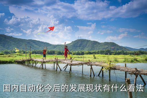 國(guó)內(nèi)自動(dòng)化今后的發(fā)展現(xiàn)狀有什么看法