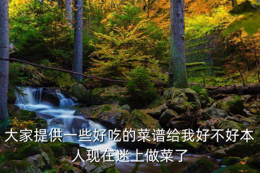 大家提供一些好吃的菜譜給我好不好本人現(xiàn)在迷上做菜了