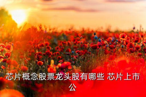 芯片概念股票龍頭股有哪些 芯片上市公
