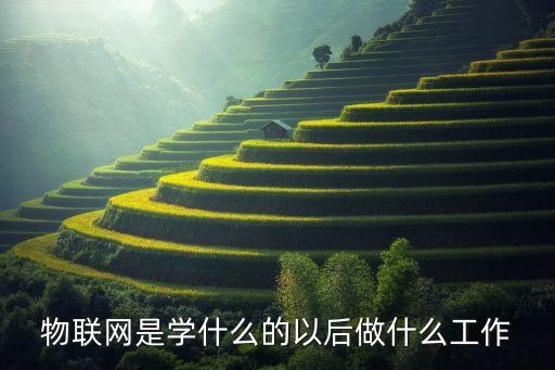 物聯(lián)網(wǎng)工程畢業(yè)設(shè)計，物聯(lián)網(wǎng)做畢業(yè)設(shè)計簡單的項目 有哪些QAQ