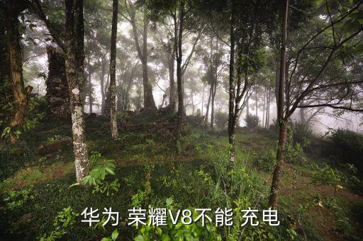 華為 榮耀V8不能 充電