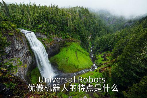 ur機器人，Universal Robots 優(yōu)傲機器人的特點是什么