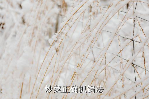 炒菜正確抓鍋法