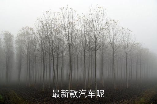 最新款汽車呢