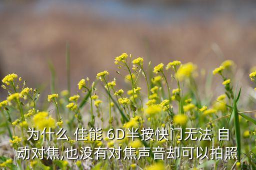 為什么 佳能 6D半按快門無法 自動(dòng)對(duì)焦,也沒有對(duì)焦聲音卻可以拍照