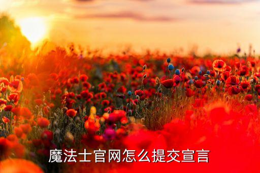 魔法士官網(wǎng)怎么提交宣言
