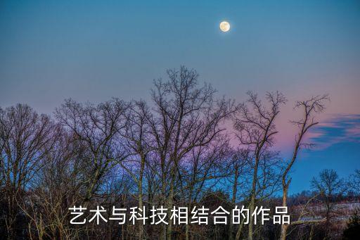藝術(shù)與科技相結(jié)合的作品