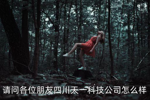 請(qǐng)問各位朋友四川天一科技公司怎么樣