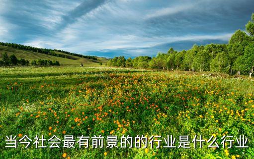 當今社會最有前景的的行業(yè)是什么行業(yè)