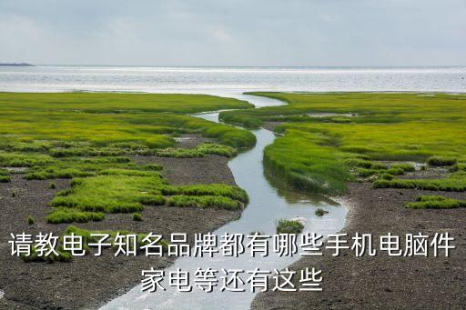 請(qǐng)教電子知名品牌都有哪些手機(jī)電腦件家電等還有這些