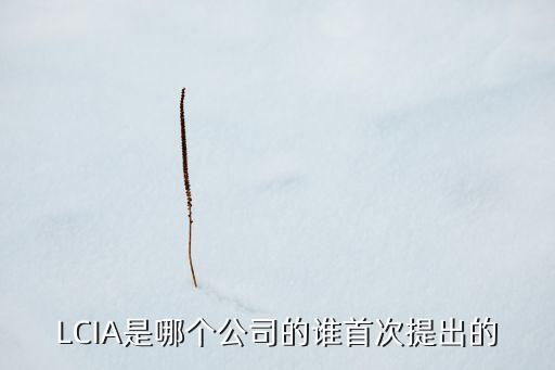 LCIA是哪個公司的誰首次提出的
