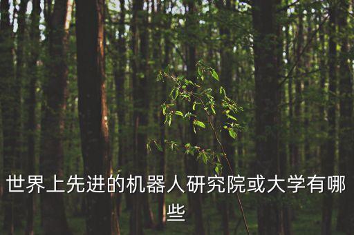 機(jī)器人研究院，國(guó)外研究機(jī)器人的主要科研院所和企業(yè)有哪些