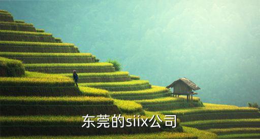 東莞市沃德普自動(dòng)化科技有限公司，有沒(méi)有需要電子線的廠家