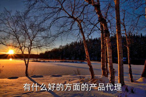 產(chǎn)品代理，有什么好的產(chǎn)品代理