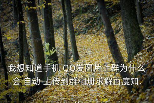 QQ會自動上傳照片嗎,點擊瀏覽圖片說明上傳按鈕即可瀏覽
