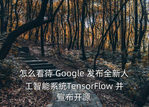 怎么看待 Google 發(fā)布全新人工智能系統(tǒng)TensorFlow 并宣布開源
