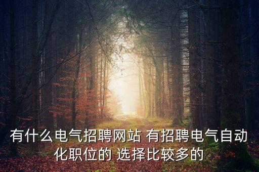 自動(dòng)化人才招聘網(wǎng)，自動(dòng)化行業(yè)求職招聘用什么網(wǎng)站比較好