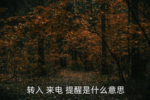 手機自動轉(zhuǎn)入來電提醒,手機沒信號或關機?來電提醒免費查看