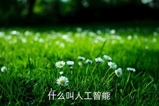 什么叫人工智能