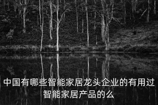 中國有哪些智能家居龍頭企業(yè)的有用過智能家居產品的么