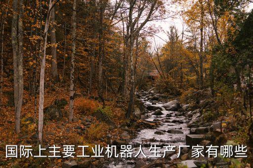 國際上主要工業(yè)機器人生產(chǎn)廠家有哪些