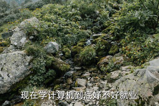 現(xiàn)在學(xué)計(jì)算機(jī)到底好不好就業(yè)